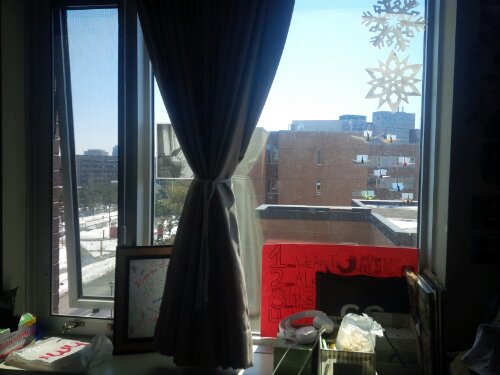 IMG_20140331_132513.jpg image